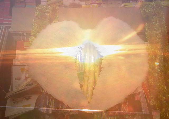 Sonnenflügel, 2008, Lambda-Print, 84x120cm