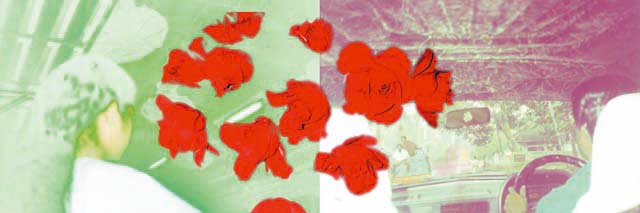 Bilder rasten, 2003, Lambda-Print, 40x120cm